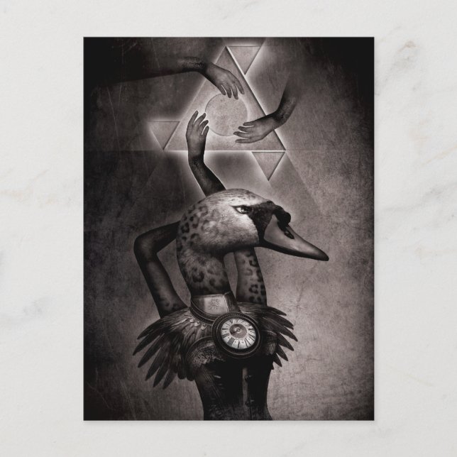 Black Swan Theory Postcard (Front)