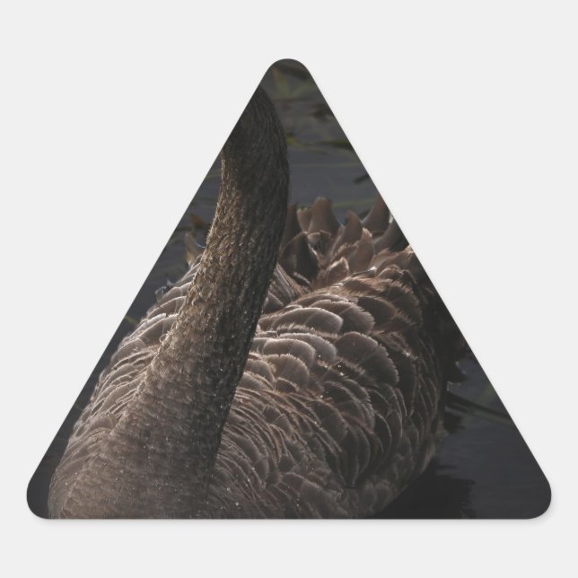 Black Swan Triangle Sticker (Front)