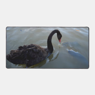 Black Swan Watching Giant Fish In River, Desk Mat