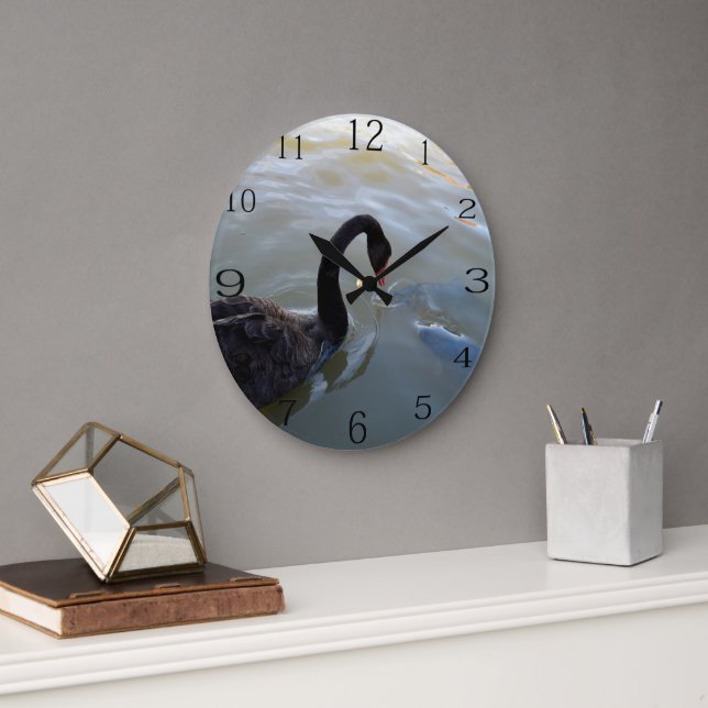 Black Swan Watching Giant Fish In River, Large Clock (Office)