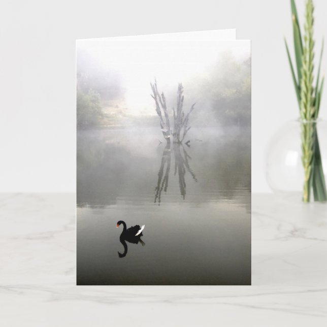 "Black Swan With White Feather" Card (Front)