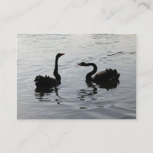 Black Swans Greeting Business Card