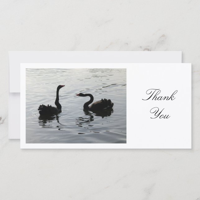 Black Swans Greeting - Thank You (Front)