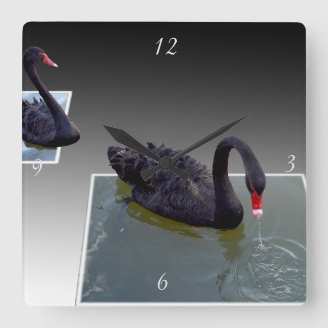 Black Swans In Dimensional Pond, Square Wall Clock (Front)