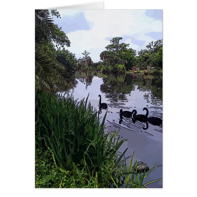 Black Swans in Park (Front)