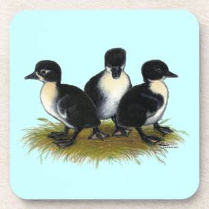Black Swedish Ducklings Coaster