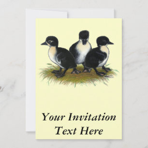 Black Swedish Ducklings Invitation