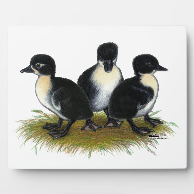 Black Swedish Ducklings Plaque (Front)