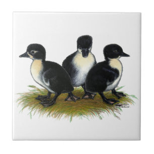Black Swedish Ducklings Tile