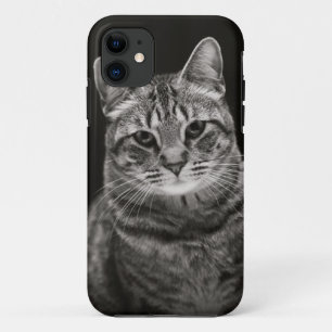 Black Tabby Kitten iPhone 11 Case