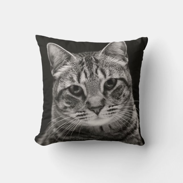Black Tabby Kitten Cushion (Front)