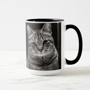 Black Tabby Kitten Mug