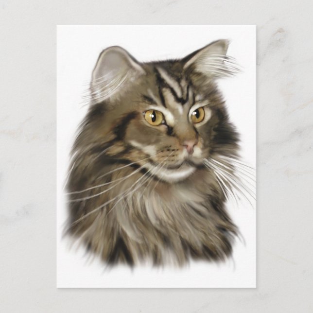 Black Tabby Maine Coon Cat Postcard (Front)