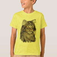 Black Tabby Maine Coon Cat