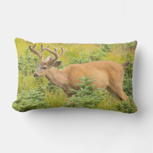 Black-tailed deer lumbar cushion