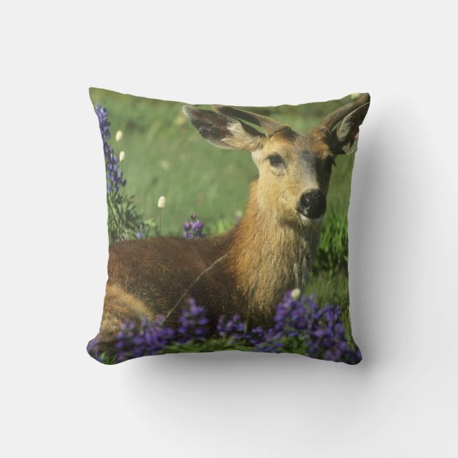 Black-tailed Deer, Odocoileus hemionus Cushion (Front)