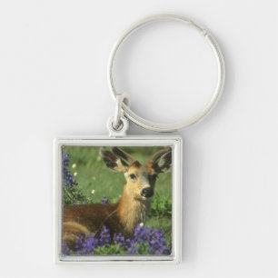 Black-tailed Deer, Odocoileus hemionus Key Ring