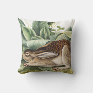 Black-tailed Hare Rabbit (Lepus negricaudatus) Cushion