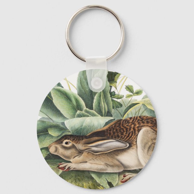 Black-tailed Hare Rabbit (Lepus negricaudatus) Key Ring (Front)
