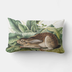 Black-tailed Hare Rabbit (Lepus negricaudatus) Lumbar Cushion
