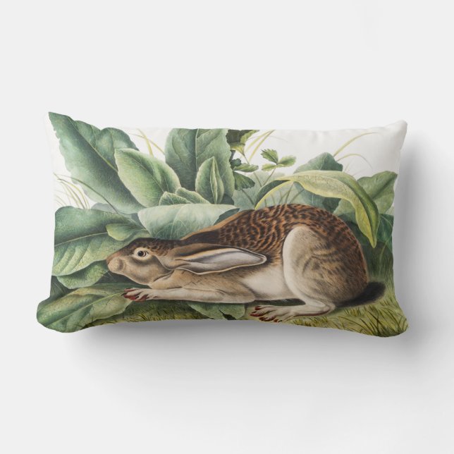 Black-tailed Hare Rabbit (Lepus negricaudatus) Lumbar Cushion (Front)
