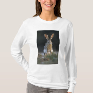 Black-tailed Jackrabbit, Lepus californicus, 2 T-Shirt