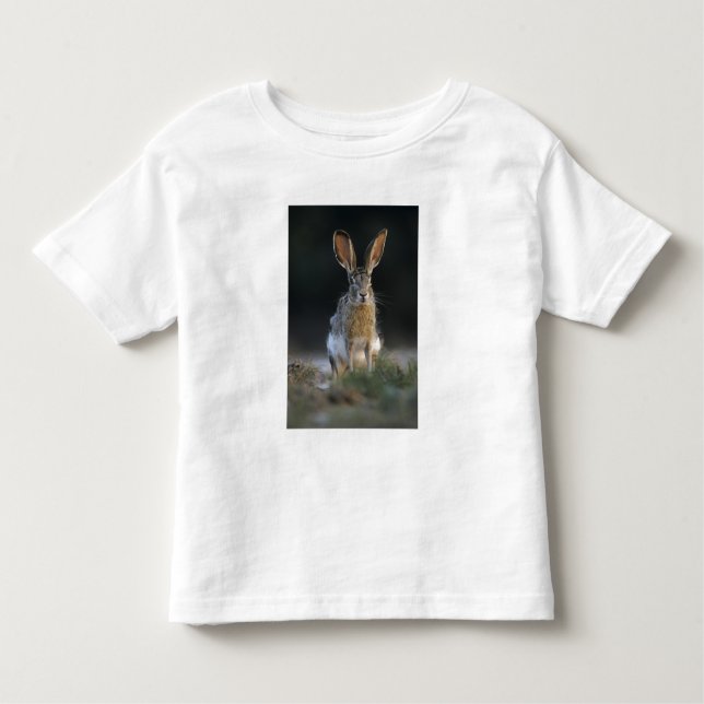 Black-tailed Jackrabbit, Lepus californicus, 2 Toddler T-Shirt (Front)