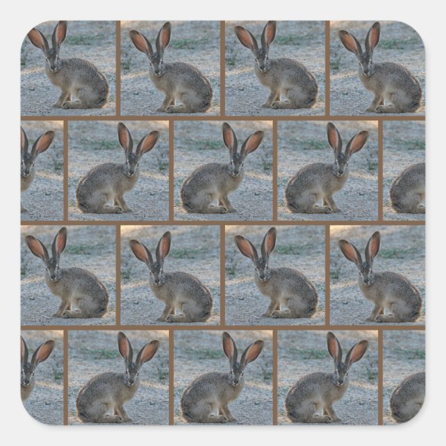 Black tailed jackrabbit square sticker (Front)