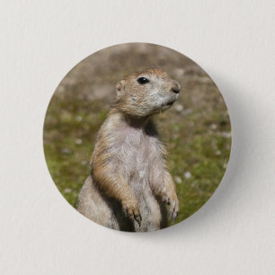 Black-tailed prairie dog 6 cm round badge