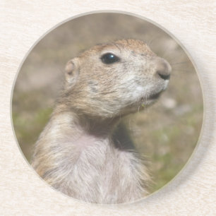 Black-tailed Prairie Dog Coaster