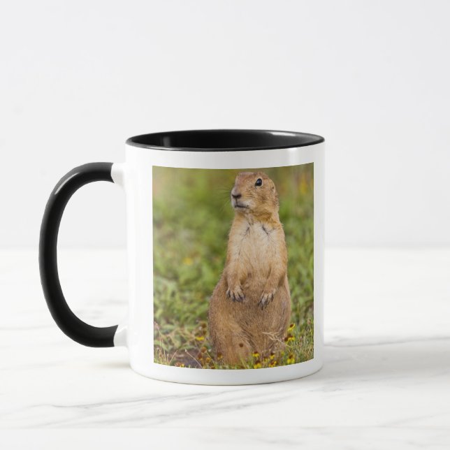 Black-tailed Prairie Dog Cynomys Mug (Left)