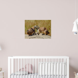 "Black-tailed Prairie Dog Framed Print