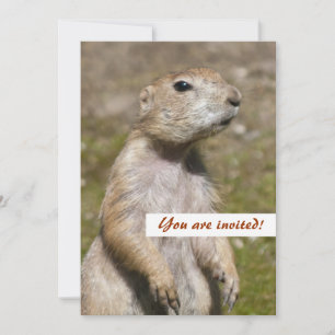 Black-tailed prairie dog invitation