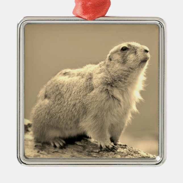 Black-tailed Prairie Dog Metal Ornament (Front)