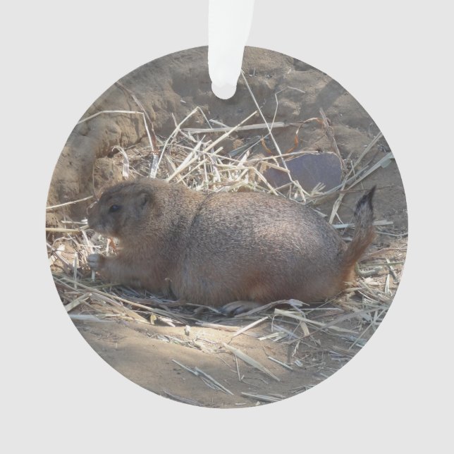 Black-tailed Prairie Dog # Ornament (Front)