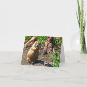 Black-Tailed Prairie Dog Thank You Card
