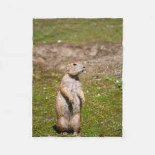Black-Tailed Prairie Dog Wildlife Photo Fleece Blanket