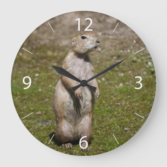 Black-Tailed Prairie Dog Wildlife Photo Large Clock (Front)