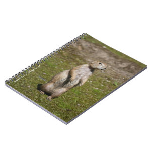 Black-Tailed Prairie Dog Wildlife Photo Notebook