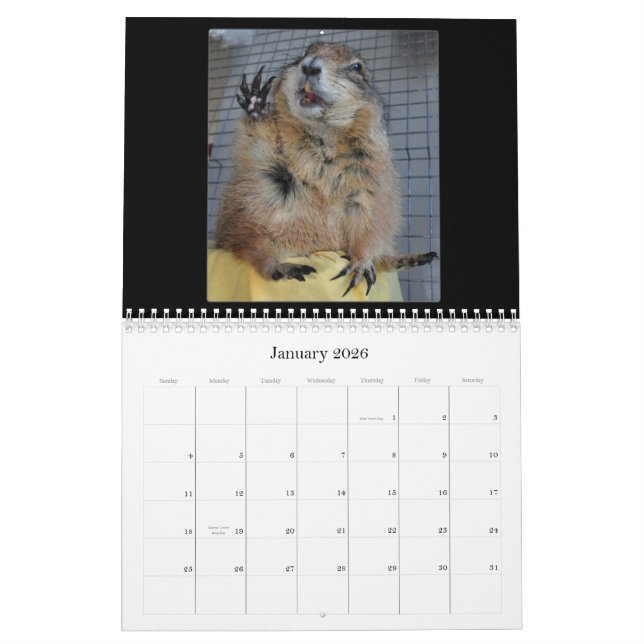 Black Tailed Prairie Dogs - 2013 Calendar (Jan 2026)