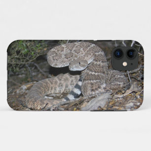 Black-tailed Rattlesnake iPhone 11 Case