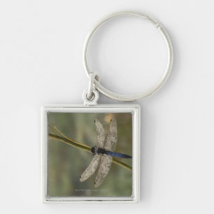 Black-tailed Skimmer Key Ring
