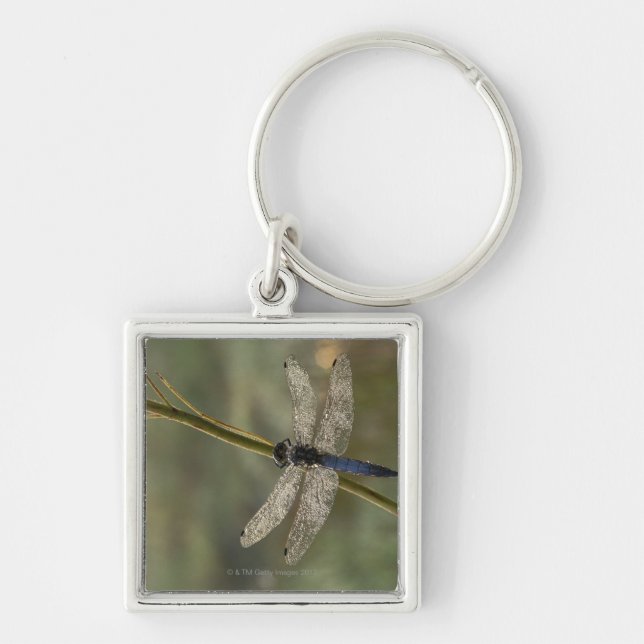 Black-tailed Skimmer Key Ring (Front)