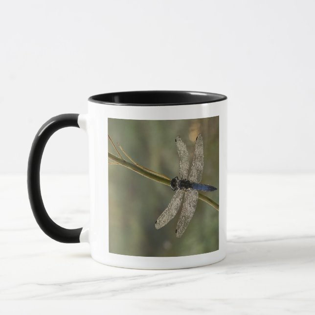 Black-tailed Skimmer Mug (Left)