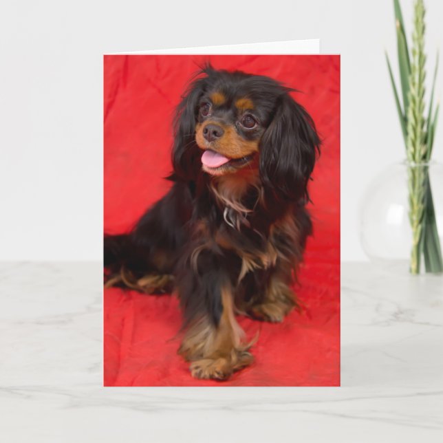 Black Tan Cavalier King Charles Pup Greeting Card (Front)