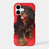 Black Tan Cavalier King Charles Puppy iphone Case