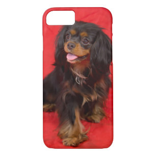 Black Tan Cavalier King Charles Puppy iphone Case