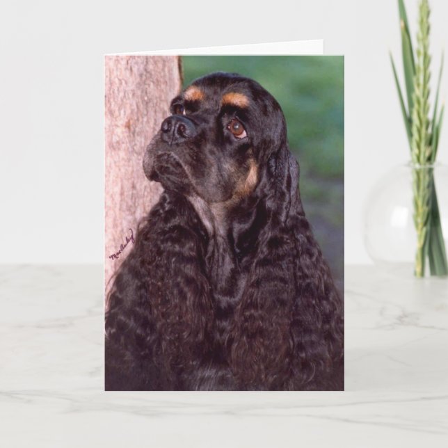Black & tan Champion Cocker Spaniel greeting card (Front)