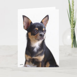 Black & Tan Chihuahua card