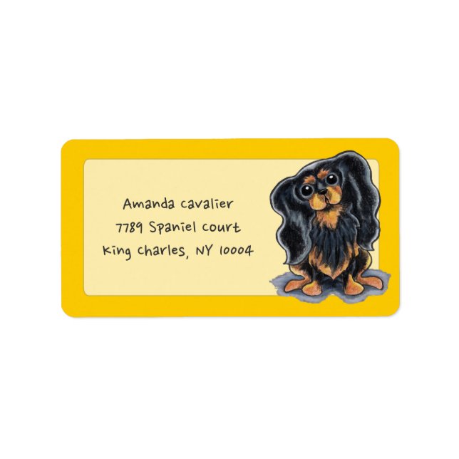 Black Tan CKCS Studio Sunshine Gold Label (Front)